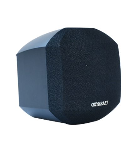 Cube Satellite Speaker Klipper