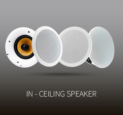 In-Ceiling Speaker